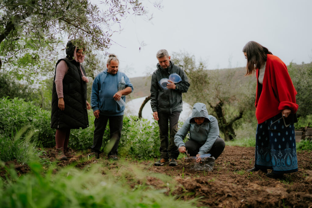 SOIL STORIES: Un'Alleanza Scienza-Arte